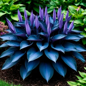 Хоста Сикрет Гров купить по цене от 570р. в интернет-магазине «Посадика» с доставкой почтой в в Электроуглие и по всей России – [изображение №1].